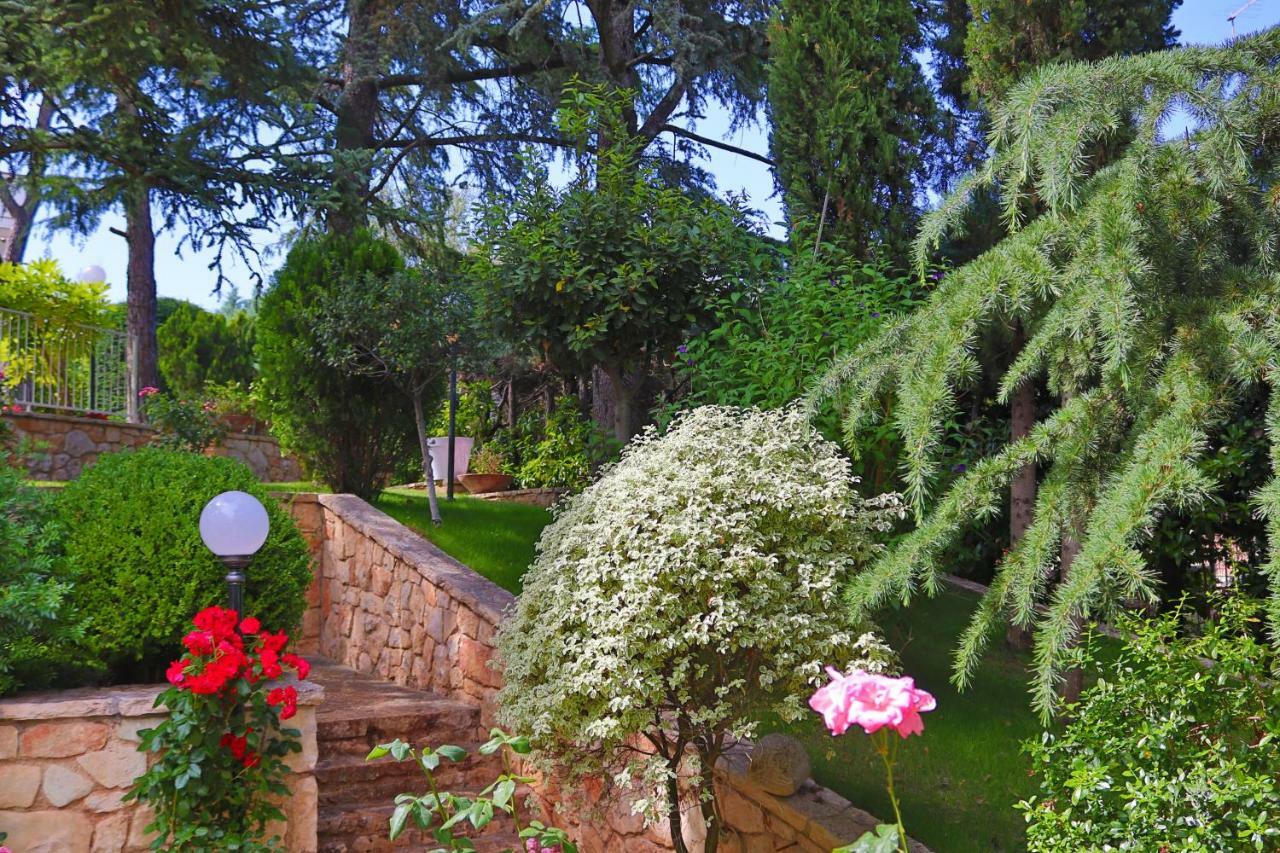 Villa Angelina سيلفا دو فاسانو المظهر الخارجي الصورة